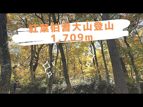 (登山に行こう)紅葉の伯耆大山に登ってきました(｡•̀ᴗ-)و ̑̑✧#登山 #ソロ登山#山登り