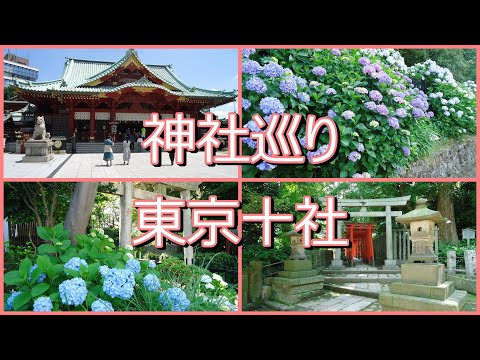 東京十社巡りで神田明神・根津神社・白山神社・王子神社を巡ってみた！