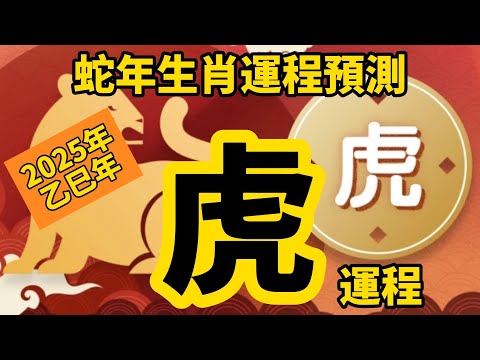 2025年 乙巳年 生肖運勢 蛇年十二生肖運程 —【肖虎】 | 概括運程 | 四季不同時段出生 屬虎運程 | 生肖運程 分析 | 愛情、事業、正財、橫財、健康預測| 開運攻略 | 生肖運程 2025