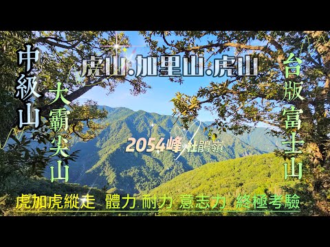 虎加虎縱走【虎山-加里山-虎山】體能極限意志力的大考驗