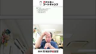 【 #国試1分道場 ・呼吸器系】鼻腔について誤っている記述はどれか　１．鼻中隔の両面は鼻粘膜に覆われる　２．中鼻道は中鼻甲介の上方にあ　３．鼻腔の下壁は口蓋である　４．後鼻孔は咽頭に開口する