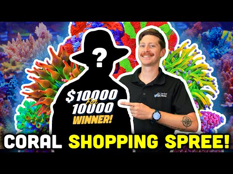 $1000 SHOPPING SPREE at Top Shelf Aquatics! GRAND PRIZE Winner's Coral!