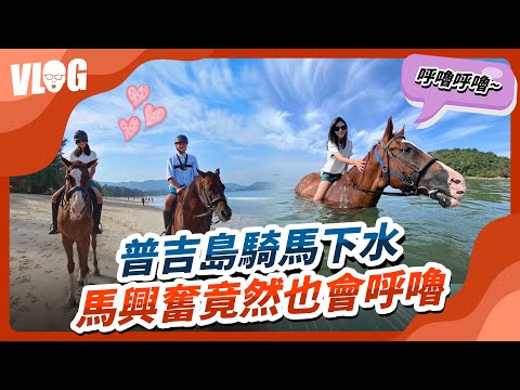 普吉島旅遊｜海上騎馬成就解鎖 馬兒游泳開心竟然會發出這聲音！