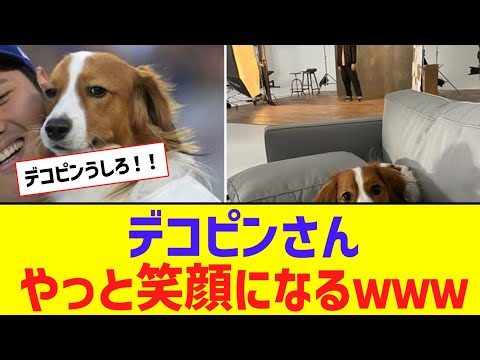 【朗報】大谷の犬デコピン、やっと笑顔になるｗｗｗｗｗ【なんJ反応】