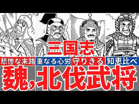 【三国志】魏の北伐参戦武将の活躍と最後！蜀軍、諸葛亮、姜維との争い！歴史解説