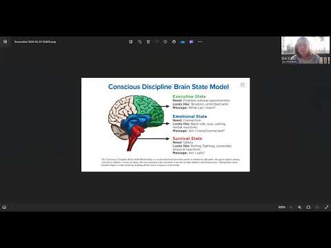 5.  Brain State Model