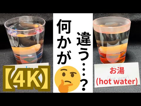 【4K】ウインナーは生きてるみたいに浮き沈みする！？