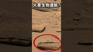 火星史前海洋巨獸的遺骸？最新火星詭異照片!