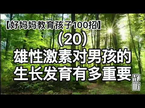 （20）雄性激素对男孩的生长发育有多重要｜【好妈妈教育孩子100招】