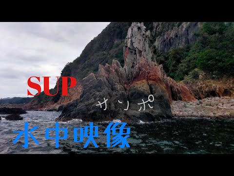 SUPサンポ 11月27日 水中映像