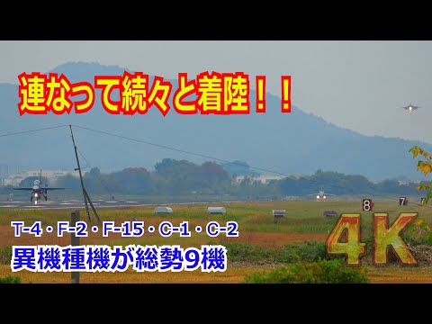 【4K】偶然が重なってレアな状態に！！5機種9機が怒涛の連続着陸【岐阜基地】