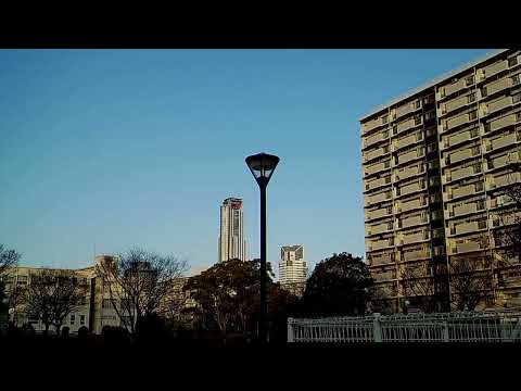 ポートタウン東駅前からコスモスクエア駅まで歩く