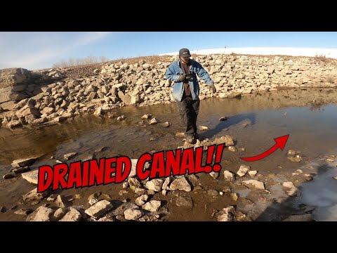 Unbelievable TREASURES Found in a 200 Year Old Drained Canal!