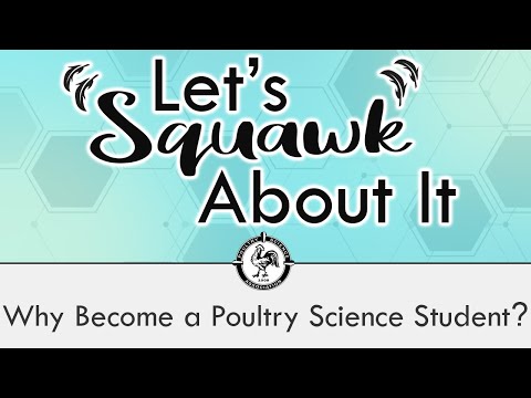 Let's Squawk About It (S2 E1): Why Become a Poultry Science Student?