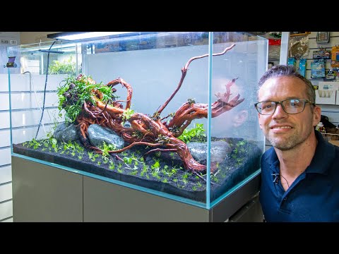 Riverwood Aquatics Aquascape Workshop - Full Demo (4K)