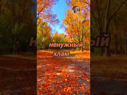 #чудесного_осеннего_денёчка🍂🍁