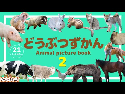 【動物図鑑２】子ども達に身近な動物21種類！知育アニメ【赤ちゃん・子供向け】Animal picture book for kids