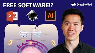 Free Software for Graphical Abstract | Science Figure | Illustrator & Inkscape Scientists