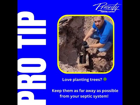 Pro Tip- Roots and Planting Trees