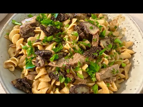 Morel Mushroom and Steak Stroganoff ~ With Twin Cities Adventures !