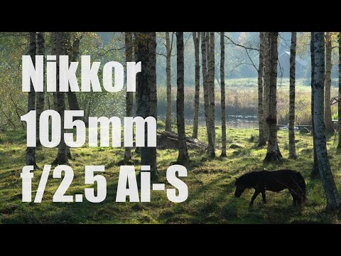 Livestream: the awesome Nikkor 105/2.5 Ai-S and a surprise