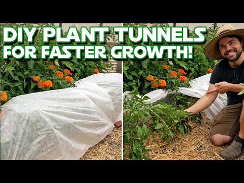 These DIY Plant Tunnels Are Cheap, Easy, And Customizable!