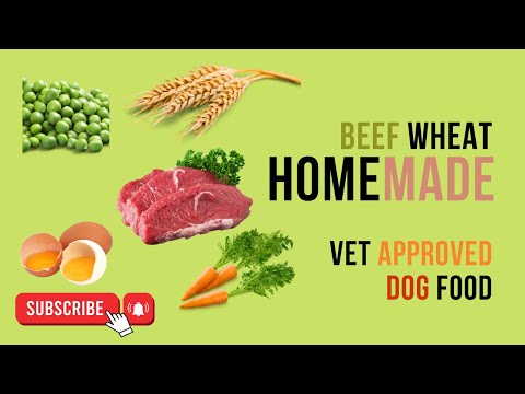 Homemade dog food Beef and Wheat vet approved easy to cook Human grade | blogsbyibrar