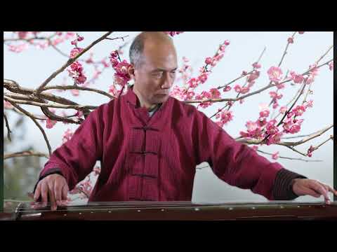 Henry's Guqin Practice 梅花三弄 Three Variations Plum Blossoms Part 1-2