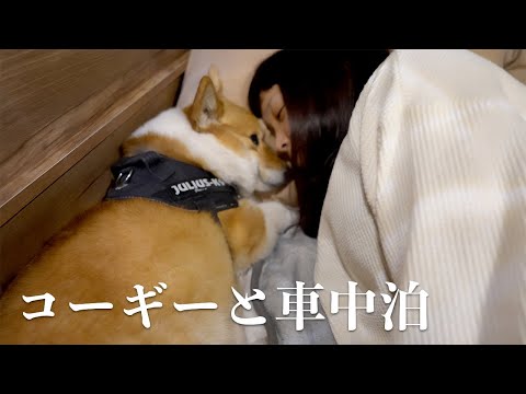 愛犬とハイエースで車中泊する夫婦【新潟1日目】亀田製菓の直売所でアレを大量購入！