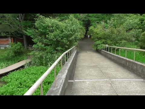 Tsukuba Botanical Garden 筑波実験植物園　M1120001