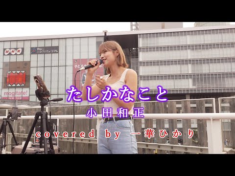 たしかなこと / 小田和正  covered by 《一華ひかり》 ※概要欄にツアー情報があります