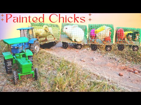 Mini Tractor with color Chicks Ducks Rabbits | Murgi Chicks | Painted Chicken | Fish Cutting