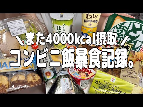 【爆食】好物は全て高カロリーで太るものばかりなのはなぜ？気になる商品を好きなだけ食べる【コンビニ飯】