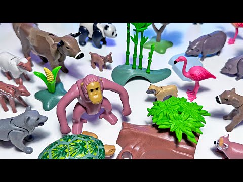 Playmobil Animals - Farm Animals, Sea Animals, Wild Animals, Orang Utan, Wolf, Pig, Panda, Sheep