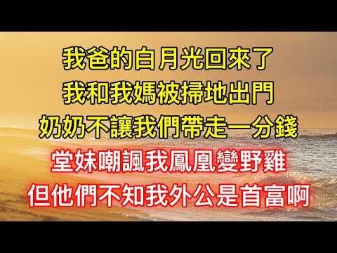 我爸的白月光回來了，我和我媽被掃地出門，奶奶不讓我們帶走一分錢，堂妹嘲諷我鳳凰變野雞，但他們不知我外公是首富啊