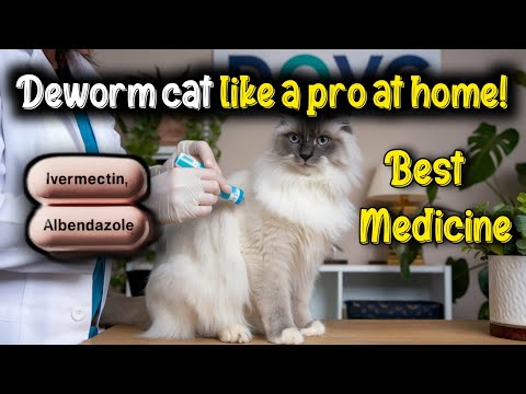 Best medicine for Cat Deworming at Home