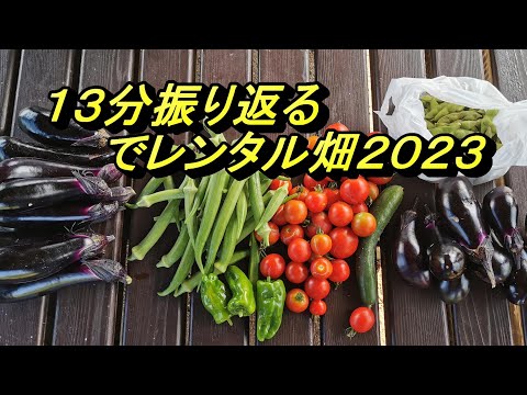 今年もたくさん収穫しました。１３分振り返るでレンタル畑２０２３！