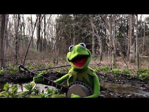 A Special Performance of "Rainbow Connection" from Kermit the Frog | The Muppets