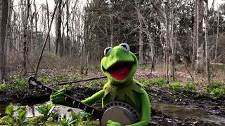 A Special Performance of "Rainbow Connection" from Kermit the Frog | The Muppets