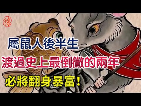 屬鼠人的後半生：史上最倒黴的兩年，一生的劫數，平安渡過後必將翻身暴富！