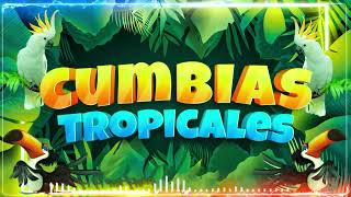 🔆CUMBIAS TROPICALES MIX 🦜VIEJITAS TROPICALES🎺ACAPULCO TROPICAL, TROPICAL FLORIDA, LOS KARKIS...