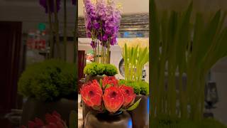 插花欣賞/#帝王花#金魚草#鬱金香/Flower Arrangement Appreciation/#Imperial Flower #Goldfish Grass # Tulip