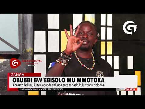 Obubbi bwe bisolo mu Kampala | Daily Dose