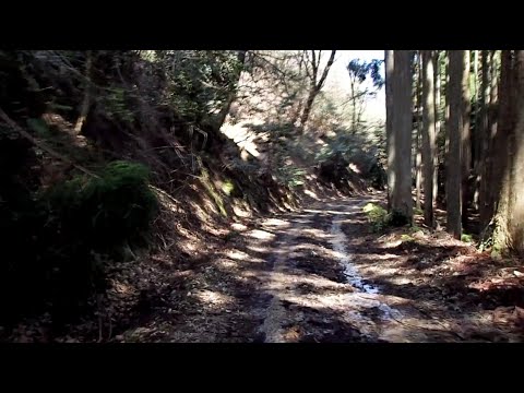 紅葉山林道(トンネル→日吉ダム)@230401_114816