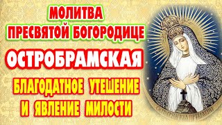 БЛАГОДАТНОЕ УТЕШЕНИЕ И ЯВЛЕНИЕ МИЛОСТИ. Молитва Пресвятой Богородице Остробрамская Виленская