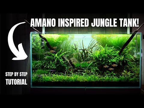 Epic 250l Congo Tetra Jungle Tank Aquascape Tutorial!