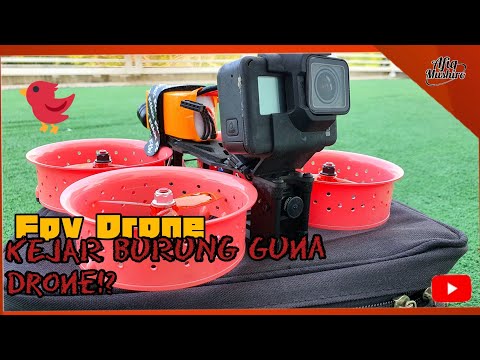 FPV Drone | Kejar Burung Guna Drone?! | Cloud Reptile-149 dan Apex 5 inci