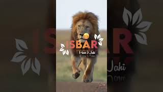 Lion Attitude shayari status Shayari status Attitude shayari #youtubeshorts#viral#shayari#shorts