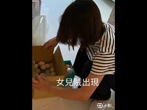 疫情持續，宅在家料理生活點滴