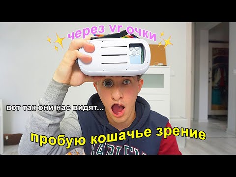 Пробую жить с КОШАЧЬИМ ЗРЕНИЕМ (не понравилось) 🥵